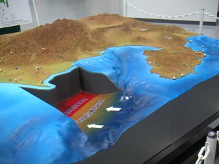 相模トラフ東海沖海底模型